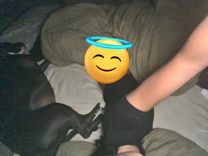 opal aggressively kicking me in bed every night https://t.co/YuQxo8C6Cg