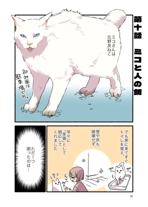 人間の食べ物を盗もうとした元野良猫の末路(1/2)
#漫画が読めるハッシュタグ 