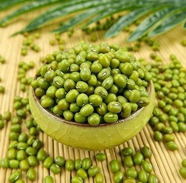 NaturallySudha's tweet photo. #NavratriRecipes #maakatyayani #Green #9NightsOfDevi
The 6th day of Navratri is adorned by Maa Katyayani, with green as the color of the day. Green is associated with new beginnings. It evokes a sense of fertility and growth.
Today we will use green moong or pachai payiru as we call in Tamil and make a yummy Green Moong Payasam as neivedhyam or prasadam.
Highly rich in protein, folate, fibre and flavonoids, moong dhal is an easy to cook ingredient in our kitchen. The moon sprouts are one the best foods for health!
Pachai Payaru Payasam Recipe is simple and quick to make. Boil the green moong dhal. Extract and keep some coconut milk. Boil jaggery in some water, strain and keep aside.
Mix the moong dhal into the creamy smooth coconut milk, and flavor it with a pinch of cardamom powder. Pour into this mixture the jaggery syrup, garnish with cashew nuts and dried grapes fried in ghee.
Serve it hot or cold !
Happy Navratri!