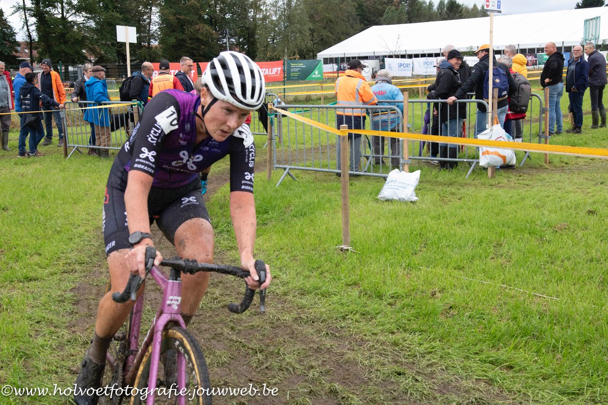 holvoet rik tweet media