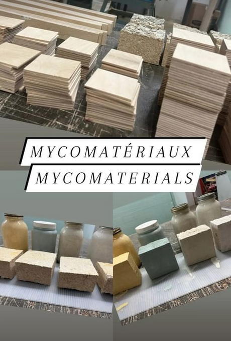 ChampiMaison's tweet photo. Suivez Mycelium Remédium sur Linkedin pour les dernières nouvelles sur nos #mycomateriaux #mycomaterials. https://t.co/Geux2nlyhl