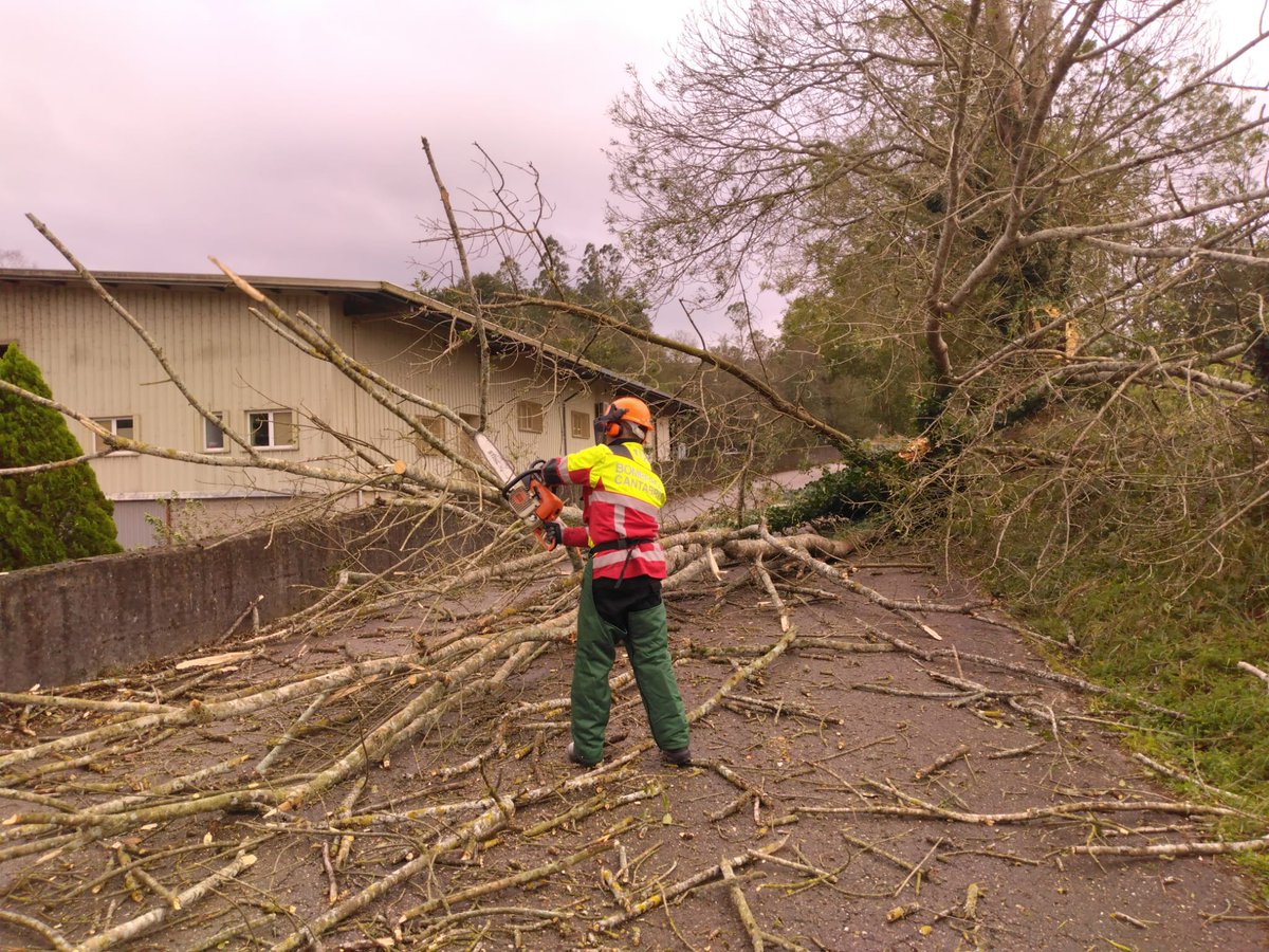 112Cantabria's tweet photo. Retirada de árbol caído que corta la vía de acceso a #Tezanos desde #CA142. Bomberos @112Cantabria lo trocean y lo retiran de la carretera para permitir el paso. https://t.co/BQHfQTIxWu