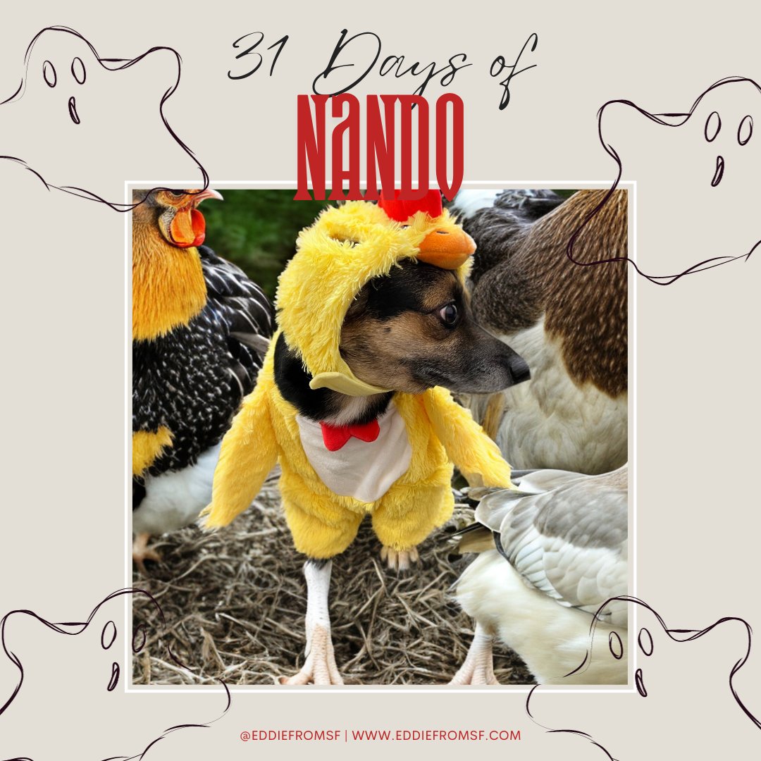 eddiefromsf's tweet photo. Couples costumes are all the rage! Who wants to be Nando's partner for #NationalChickenandWaffleDay? π§π Follow us to see more! #31DaysOfNando #Nando #DogsOfStateFarm #OfficeDog #WorkDog #Halloween #PetCostume #BadAI #ChickenFoot https://t.co/DQAq7jtg9D