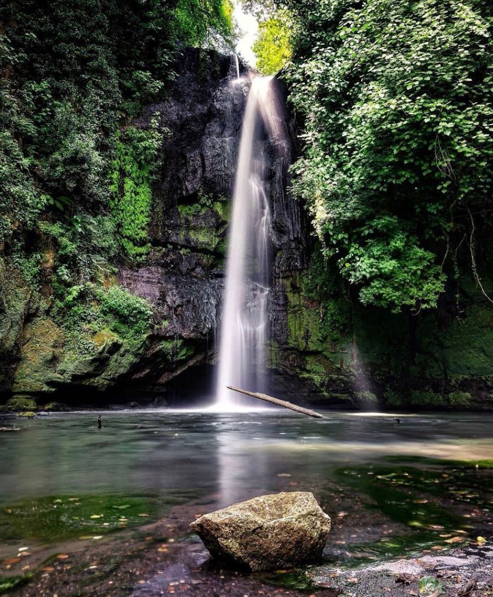 visit_lazio's tweet image. 🌿 Benvenuti al paradiso naturale di #Nepi, in provincia di Viterbo: ecco a voi la #CascataDelPicchio, un gioiello nascosto che vi lascerà senza fiato

bit.ly/46ASr99

📷 Ig mamari_ph

#VisitLazio #LazioIsMe #LazioEternaScoperta