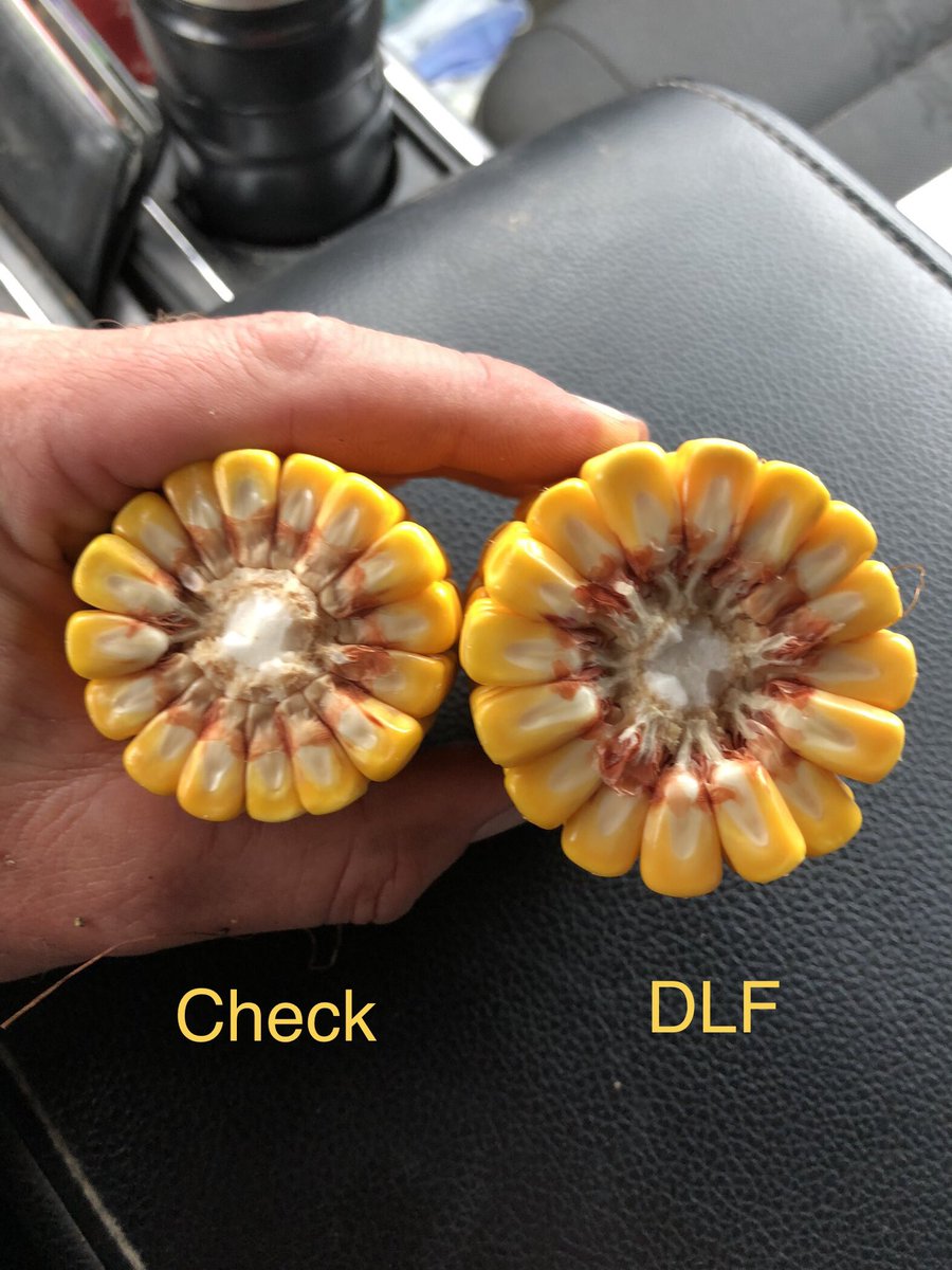 David Jibb tweet media