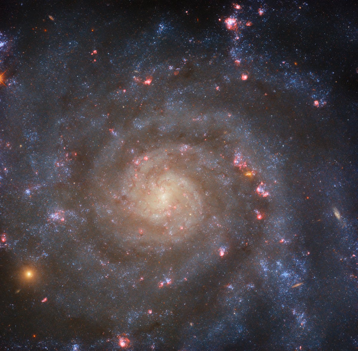 Time to meet the galaxy IC 5332 face-on.

Spiraling in this #HubbleFriday image, IC 5332's 'face-on' orientation to Earth means that its appearance is circular and disk-shaped rather than squashed and oval-shaped, which would be 'edge-on.'

For more: go.nasa.gov/3tHpjP7