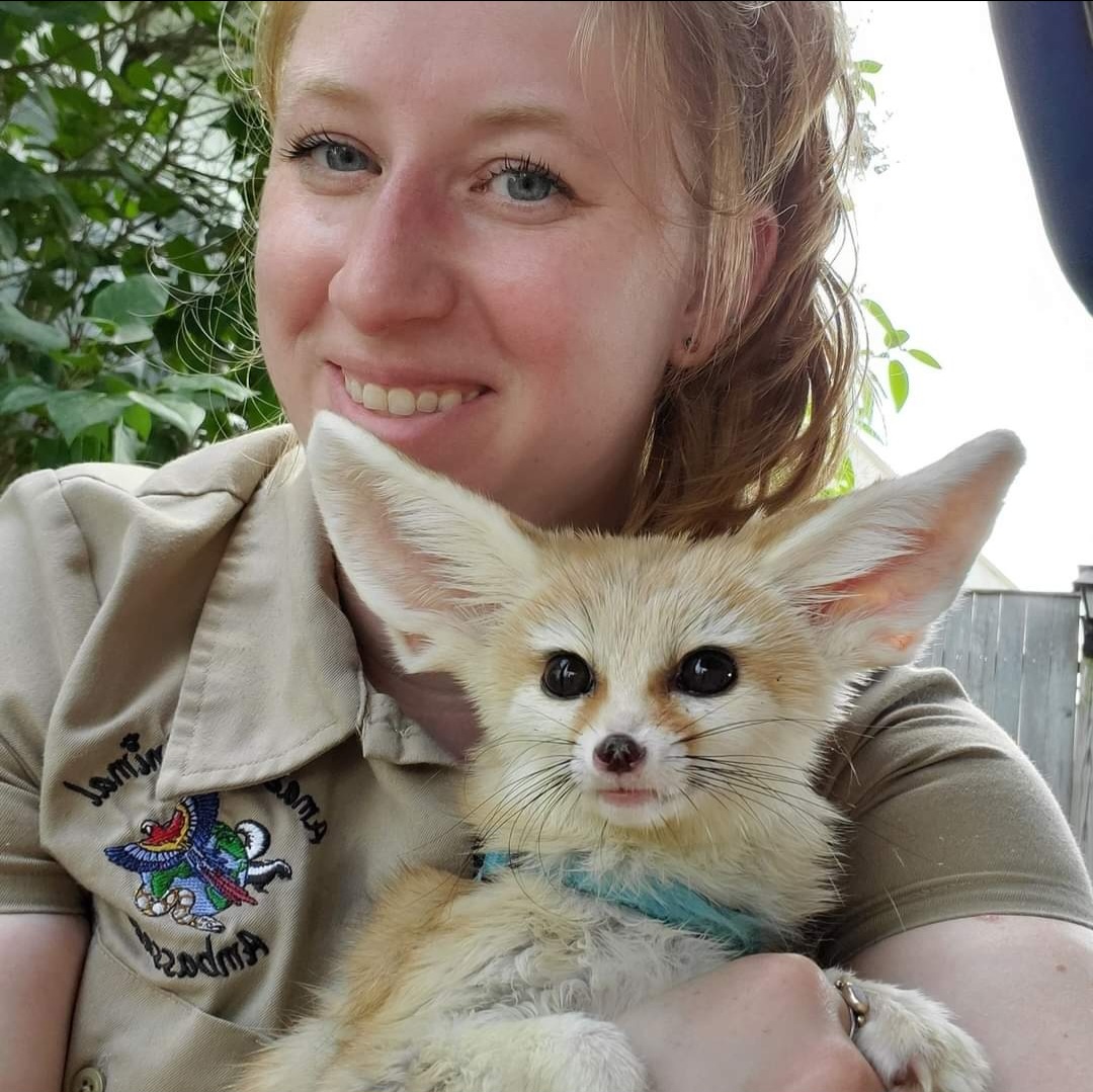 Tickets still available for Amazing Animal Ambassadors Saturday, October 21st at 10am!

simpletix.com/e/amazing-anim…