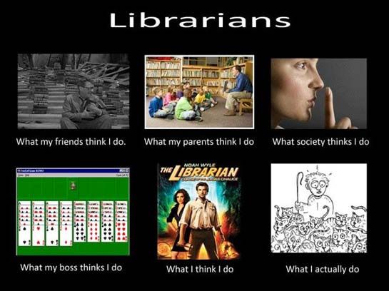 Megan Venner ᒥᔅ ᕕ tweet media