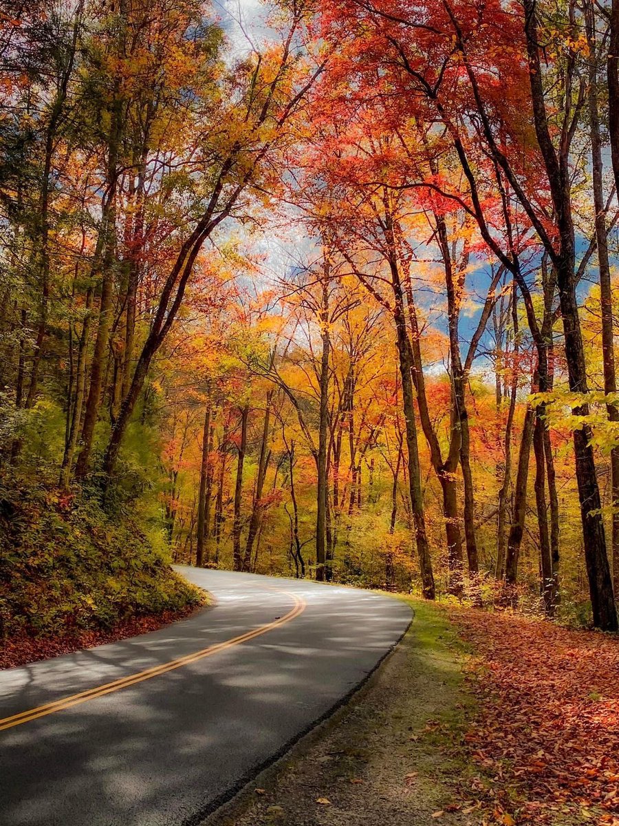 Beautiful Road 

(📷Pinterest)