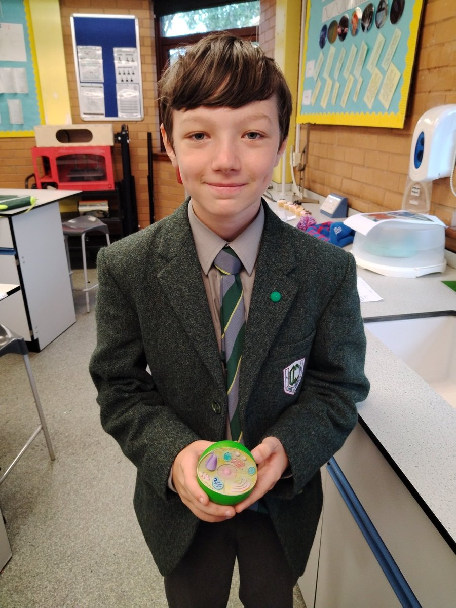 CCSBScience's tweet photo. #CCSBYear7 have consolidated their latest #CCScience topic on cells by making their own versions using their favourite materials #CCFamily #CCExcel #CCCreativity https://t.co/qV4rhlxBg0
