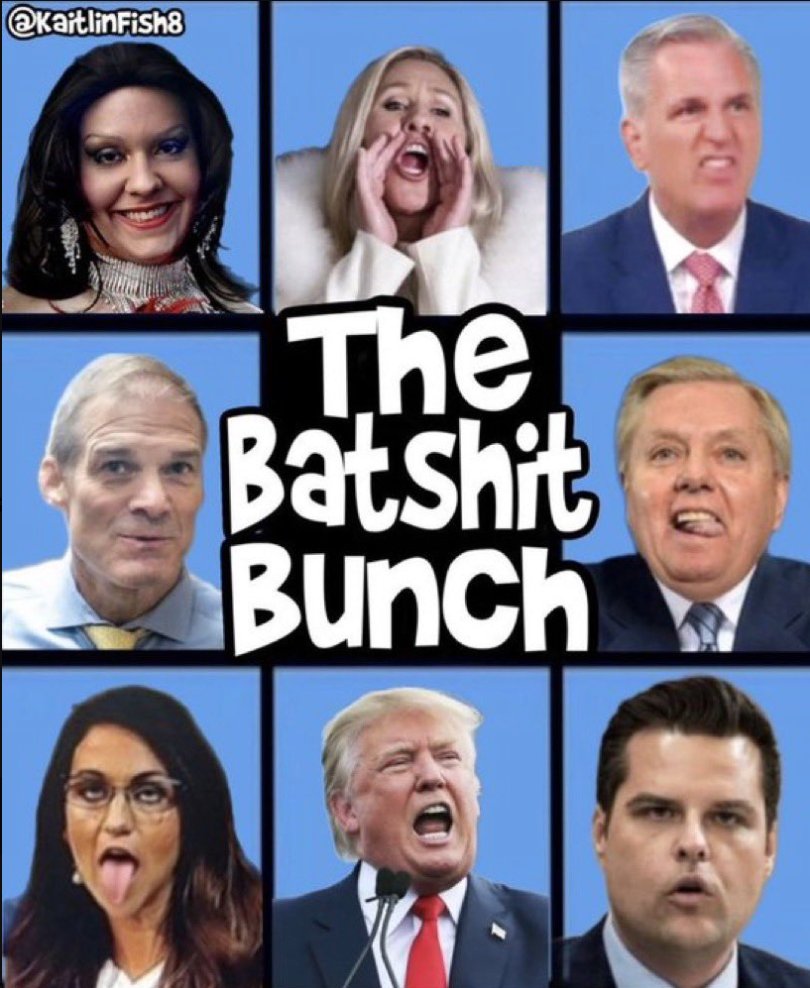 💙 Dr. MemeNstein votes 💙 BLUE 🇺🇸🦅 tweet media