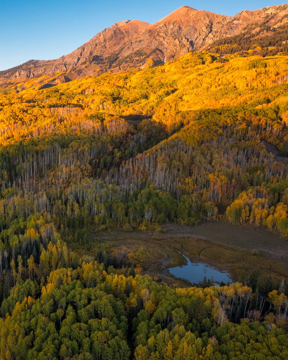 I realized this year that I had never really explored Kebler Pass… I always turned left at Ohio Pass because I’m from Ohio 😂  here’s a few from Kebler… #fall #fallincolorado #colorado #visitcolorado #earth #earthcurated