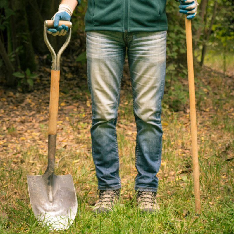 NWPest_Control's tweet photo. Now is a great time to be getting some yard work done. Be sure to pay attention to any clusters of pests, it could be a sign of an infestation! Call us for a home inspection today. https://t.co/dQXc3N1mBV #fallpests #pestcontrol https://t.co/13F3pkoVUN