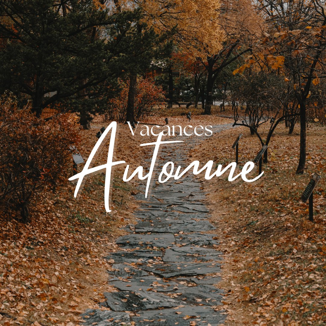 C'est l'heure de prendre une petite pause bien méritée. Après des semaines de cours, de préparations et d'échanges, les vacances d'automne sont là ! 📚🛌
L'occasion idéale pour ajuster les derniers cours, pour partir en balade ou simplement pour se reposer. 🍂📖
#SEGPA #TeamSEGPA