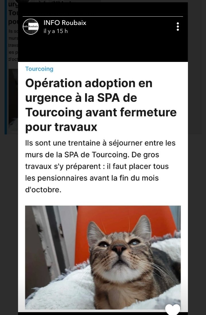 MerMeresse's tweet photo. La SPA de tourcoing lance un SOS pour tous les pensionnaires 🆘 https://t.co/QNMGRtST8p
