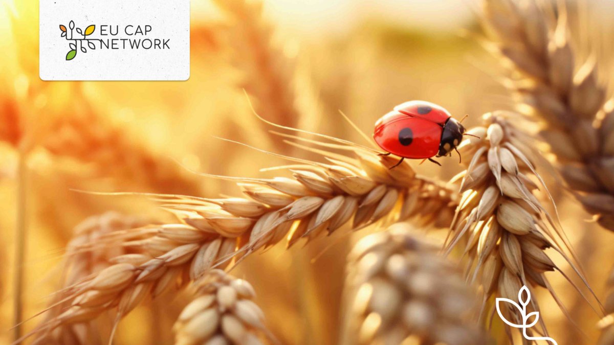 💡Do you know about smart Integrated Pest Management?

Take a look at the @SmartProtectIPM platform where you can find many different technologies and methodologies for #IPM 🦟 

👉 bit.ly/3ZZJB2l

#agriculture #innovation