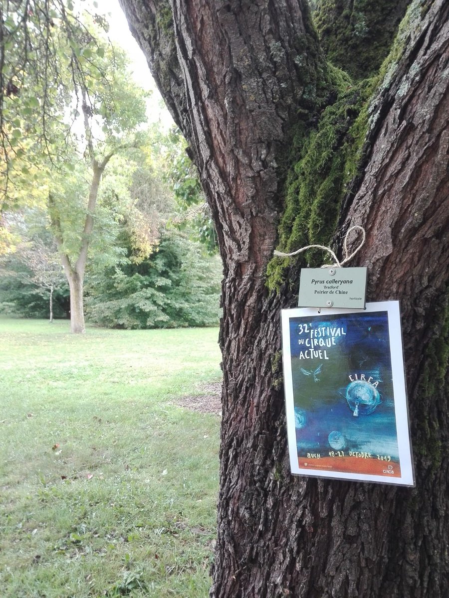 Le festival Circa démarre aujourd’hui, mais méfiez-vous des photos, il s’agit bien de la 36e édition !
L’OCCE fait vivre aux classes venues voir un spectacle, un jeu d’orientation au Parc du Couloumé. Négociation, décision collective, entraide...