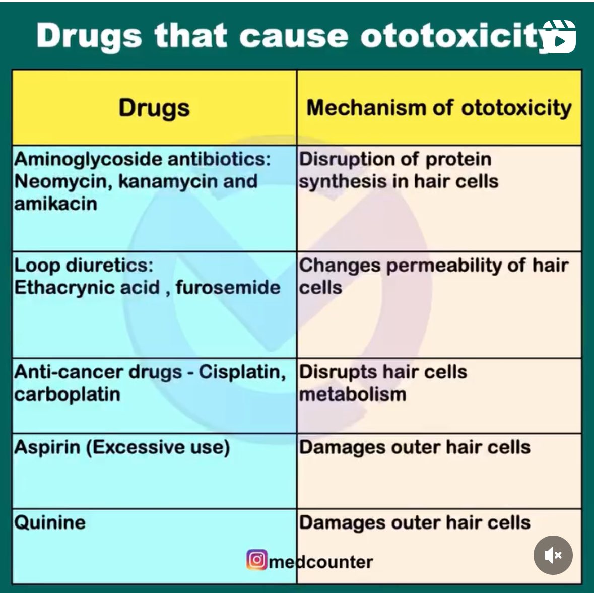 Drugs that cause ototoxicity (medinaz Academy)