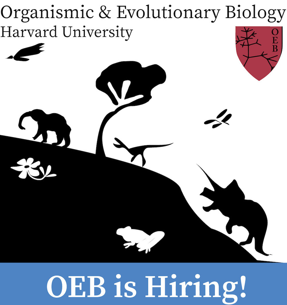 We're Hiring!  Faculty Coordinator and Senior Research Administrator!  Links in order: bit.ly/40bEpID and bit.ly/3QzA4Mp