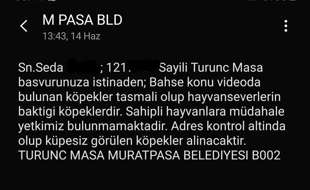 @__Serdengecti_ Olması gereken bu @Av_umituysal ve ekibi inatla hayvanseverler yüzünden toplayamıyoruz desin! Eninde sonunda bu kadınıda köpekleri de mahallemizden TOP-LA-YA-CAK. 
#MahraYasasıMeclise
#SıfırBaşıboşköpek