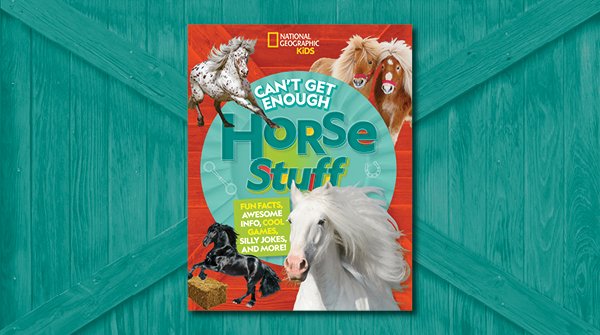 Horseback riding is more than just fun! Like yoga or Pilates, it can improve your core strength. amzn.to/3KU3th0 #horses #horsebackriding #exercise #exercising #ilovehorses #ihearthorses #horse #pony #ponies #sports