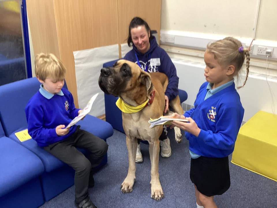 St. Andrew's CEVA Primary School, Northampton tweet media