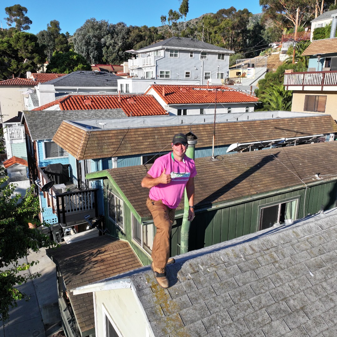 Seek Now tweet media