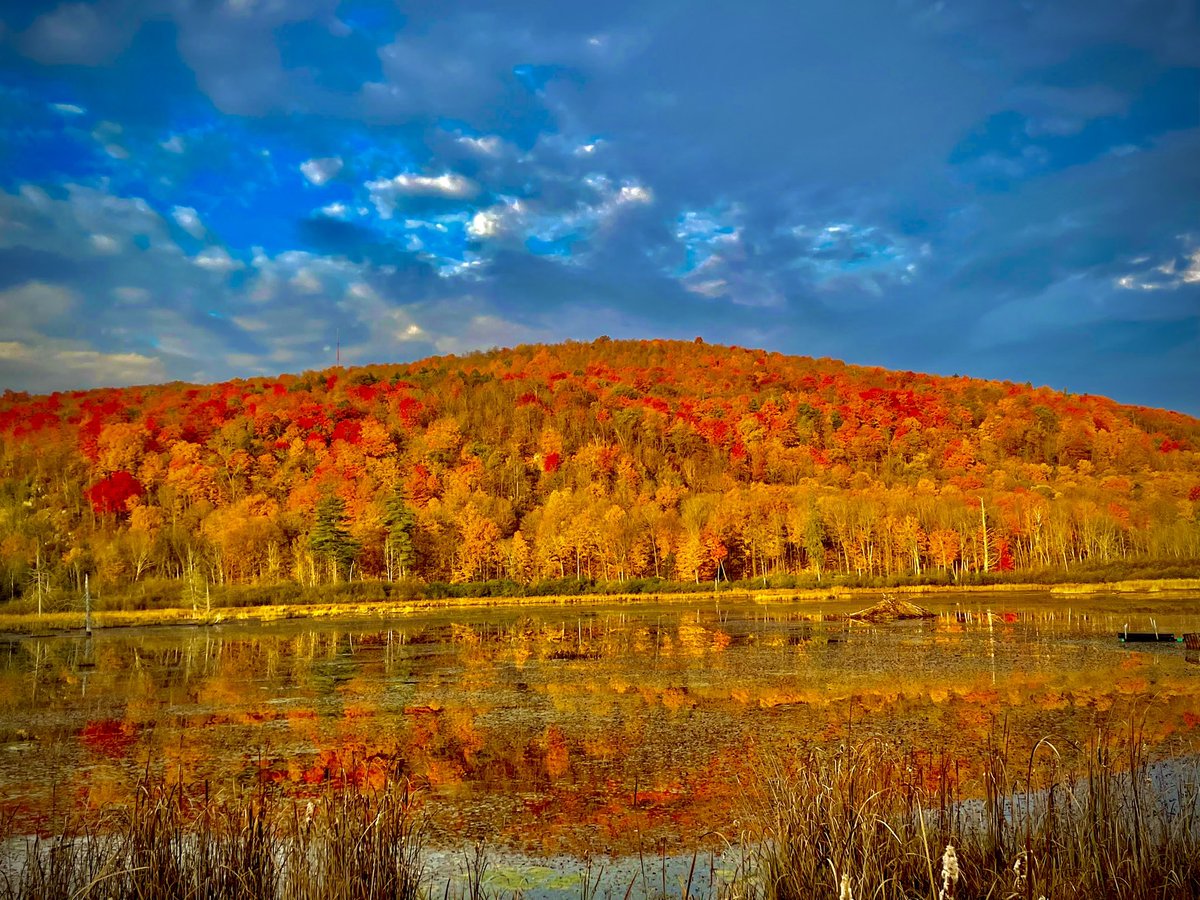 Still beautiful out there. <a href="/NCC_GatPark/">Gatineau Park</a> #rollerski