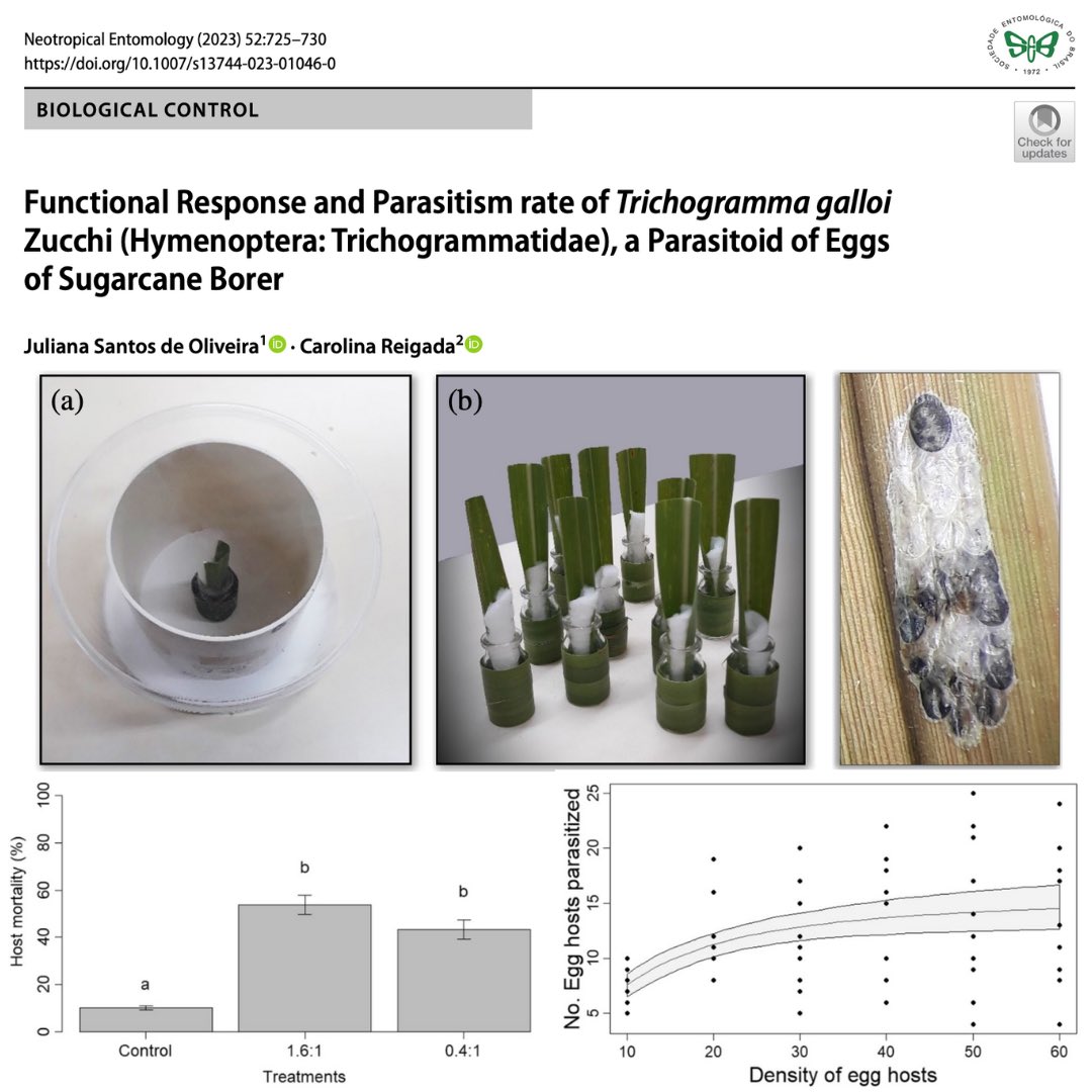 Neotrop_Entomol's tweet photo. Functional Response and Parasitism rate of Trichogramma galloi Zucchi (Hymenoptera: Trichogrammatidae), a Parasitoid of Eggs of Sugarcane Borer
https://t.co/Xw4C2day6L
#neotropicalentomology #seb #biologicacontrol #hymenoptera #trichogrammatidae #trichogramma #parasitoid https://t.co/N30J7bvezI