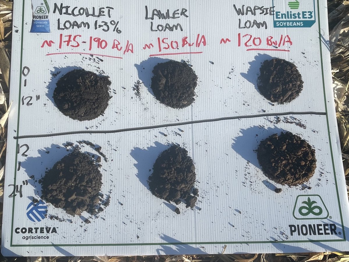 D2-3 drought area in NC IA &amp; I’m asked “ why is it so variable this year?”  On the surface, soils look &amp; feel very similar but 12-24” zones are VASTLY different.  Grey clays w/ water holding capacity vs sandy clay are easily showing a 50-80 buswing in #corn ⁦<a href="/PioneerSeeds/">Pioneer Seeds U.S.</a>⁩
