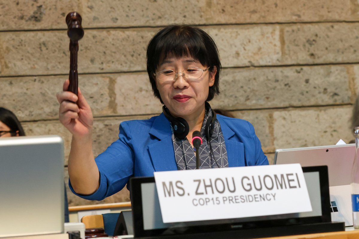 IISD_ENB's tweet photo. "We must breathe life into the Kunming-Montreal Global Biodiversity Framework in our countries, our cities, and in our own lives.”
This was the message conveyed at the close of the resumed #CBDCOP15
Highlights ➡️ https://t.co/yMRgdOcch6
#biodiversity #GBF https://t.co/NvKqNLWySH