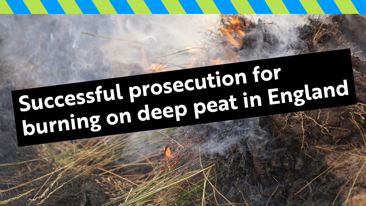 Breaking: Second successful prosecution for burning on deep peat in England. Middlesmoor Estate in Nidderdale, Yorkshire, today pleaded guilty to three charges of breaches of the Heather and Grass etc Burning (England) Regulations 2021. Thread …