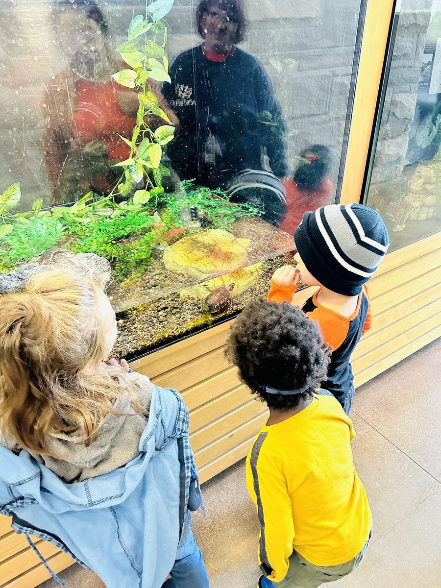 KerryASpencer2's tweet photo. AERO Early Childhood students ❤️’d their trip to the Little Red Schoolhouse!  They played in the learning center, met new animals, walked on the trail, and enjoyed the fall weather.

#MyAERO https://t.co/MP8qN5hYO0