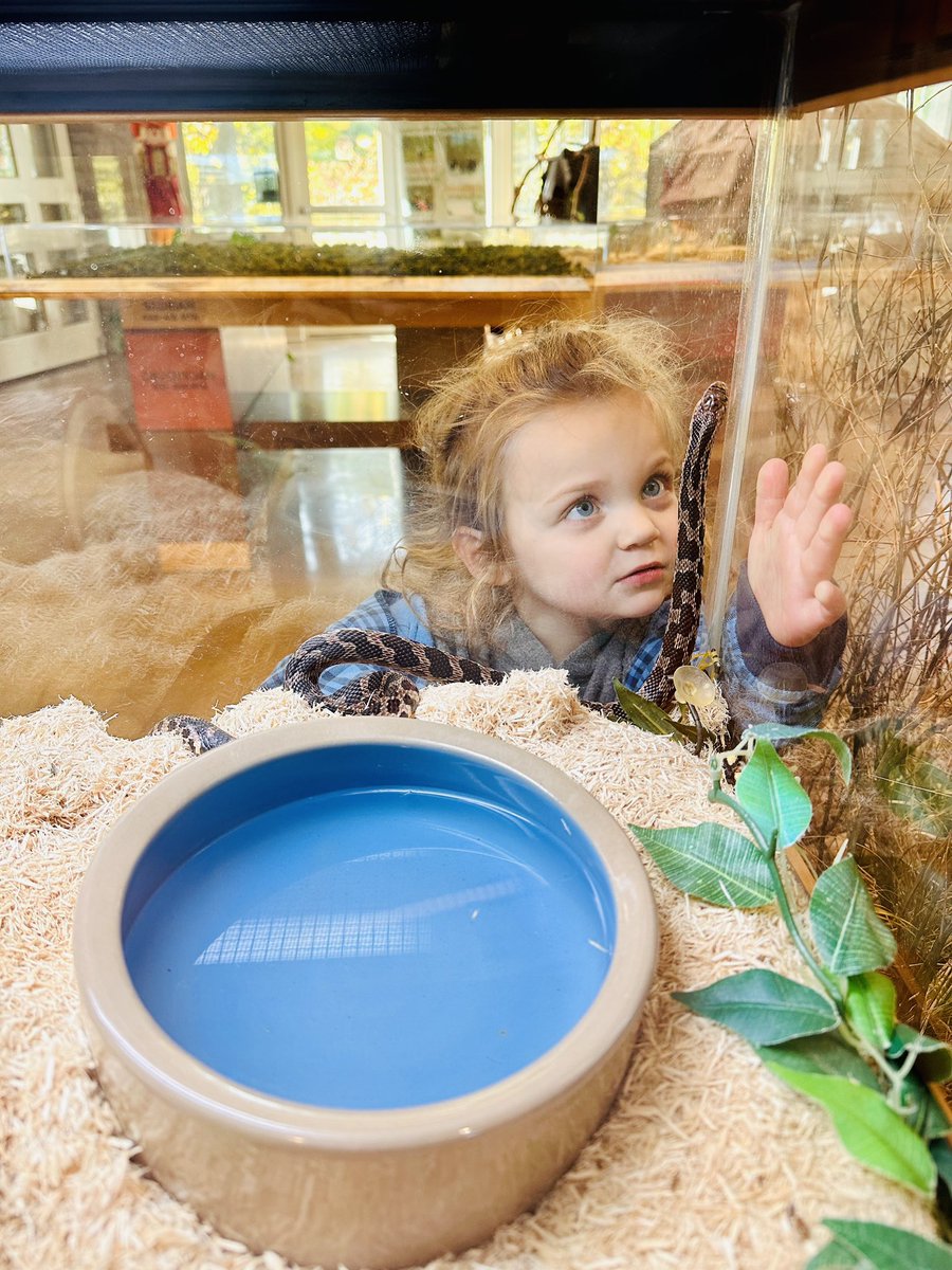 KerryASpencer2's tweet photo. AERO Early Childhood students ❤️’d their trip to the Little Red Schoolhouse!  They played in the learning center, met new animals, walked on the trail, and enjoyed the fall weather.

#MyAERO https://t.co/MP8qN5hYO0