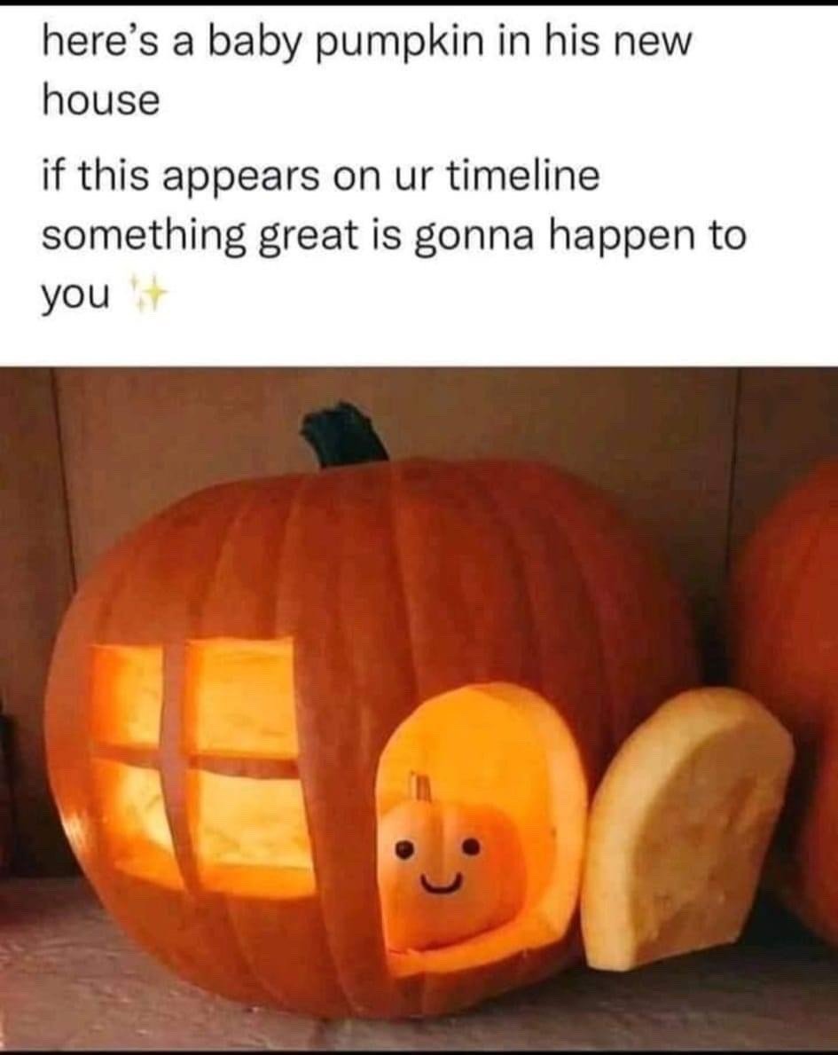 WholesomeMeme's tweet image. 