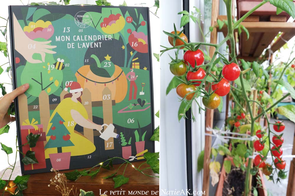 natieak's tweet photo. Fan de jardinage Bio ? Mon #Calendrierdelavent #Permacool offre une belle sélection variée contenant aussi bien des accessoires, des graines bio et autre surprises➡️ https://t.co/tixkw92op3 🎄#collaborationcommerciale #calendrierdelaventbio https://t.co/UHkkQgzy2M