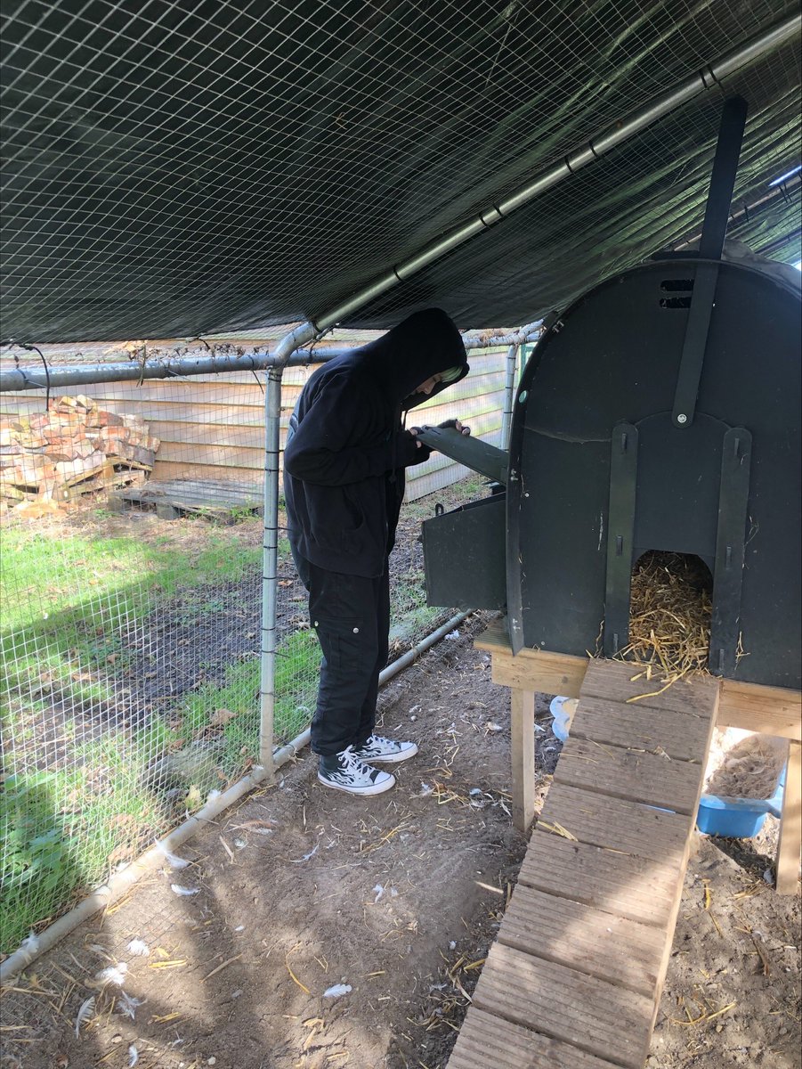 CentreSullivan's tweet photo. Ace has been working hard on her farming tasks! #AlternativeCurriculum #OffsiteProvisions #TheGreatOutdoors https://t.co/RPSdBvtY5D