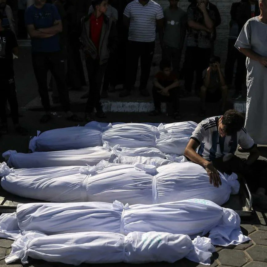 The Inside- Palestine tweet media