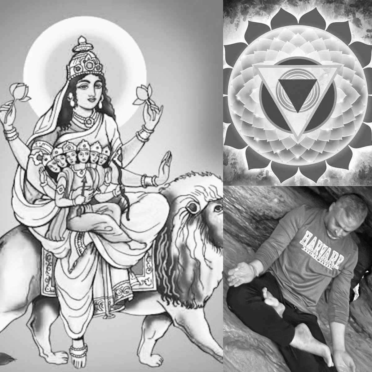 5th day of #navratri is Mother #Skandamata … She is #Padamasani … She is the #goddess of #Vishuddhi #Chakra ... vishuddhi chakra is known as the purification center, where the #nectar #amrita drips down from the bindu chakra ... read more at medium.com/yoga-beyond-as…