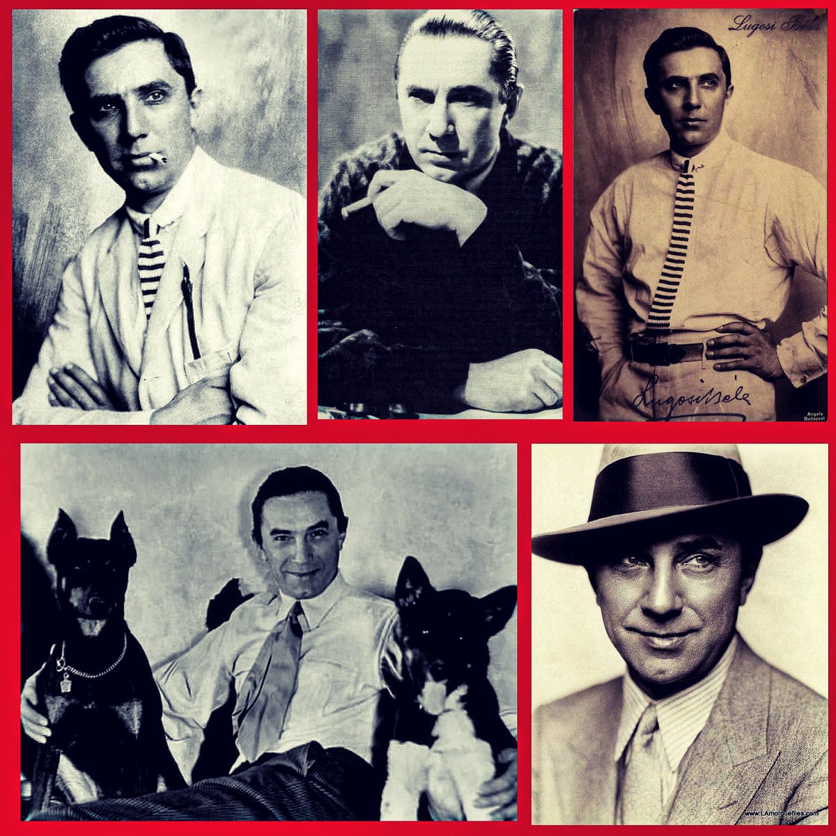 BlackCatsNYC's tweet image. On this day in 1882, one of the greatest and most underrated actors of all time, Mr. Bela Lugosi, was born.🎂🦇🐈‍⬛

#BelaLugosi #HappyBirthday #141st  #Icon #legend #master #horror #actor #universalhorror #dracula #whitezombie #islandoflostsouls #theblackcat #BlackCatsNYC #BC5