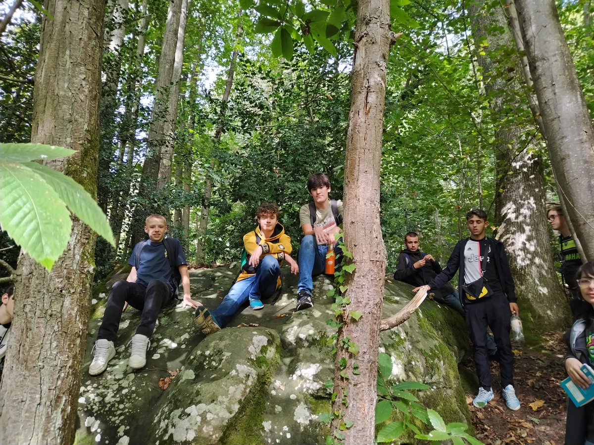 LeCHEP78's tweet photo. Les #capa #jardinier #paysagiste visitent  la roselière de Maincourt et découvrent le @pnr_chevreuse  et ses actions sur le patrimoine naturel 🌿.

#ecoledusavoirvert #chep78 #lyceepro #lyceeprofessionnel #laventureduvivant #pnr  #roseliere #environnement #sortienature #nature https://t.co/8aWjDe1qE9
