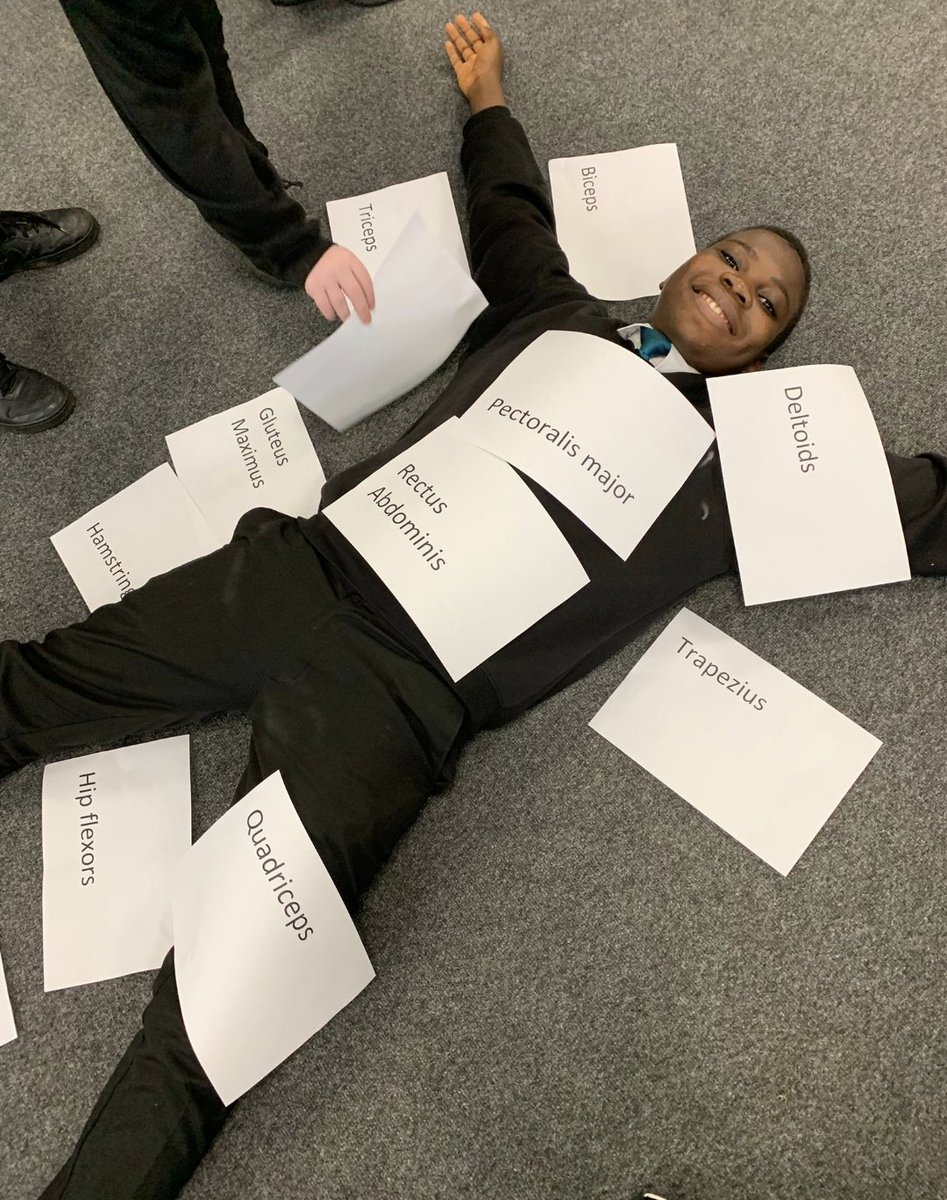 NewsomeAcademy's tweet image. GCSE PE getting hands on with their labelling of key muscles!  💪🏻
#practicaltheory