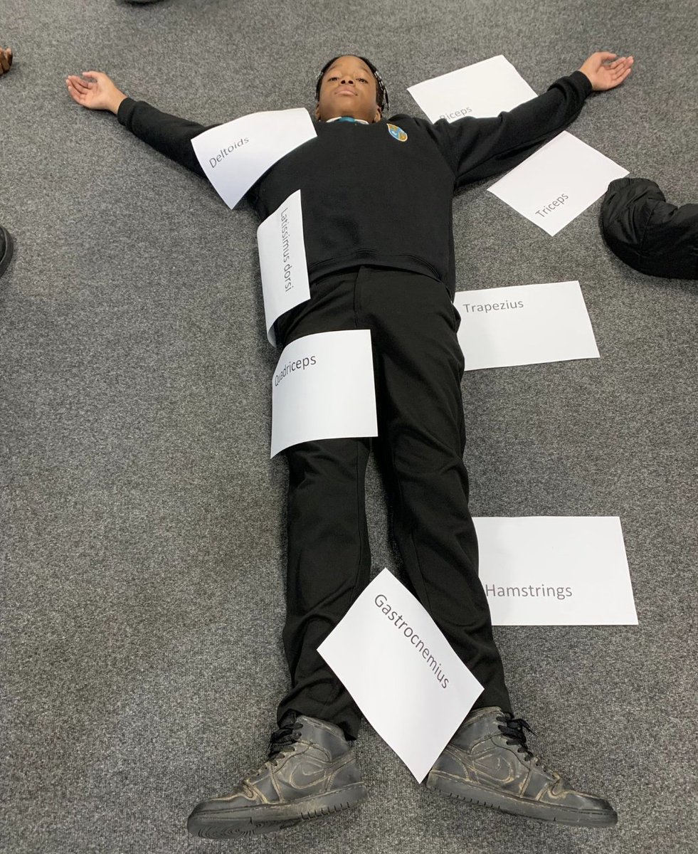 NewsomeAcademy's tweet image. GCSE PE getting hands on with their labelling of key muscles!  💪🏻
#practicaltheory