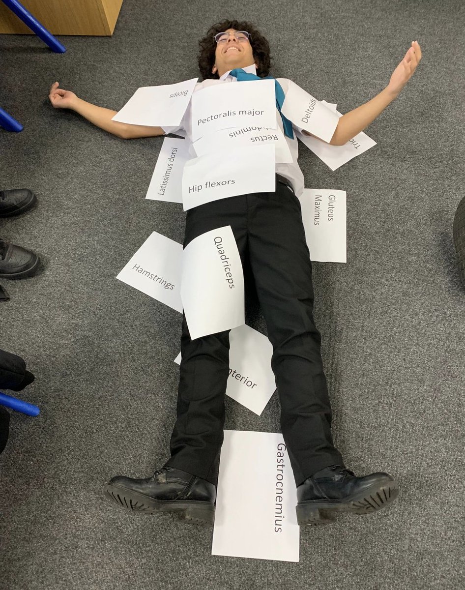 NewsomeAcademy's tweet image. GCSE PE getting hands on with their labelling of key muscles!  💪🏻
#practicaltheory