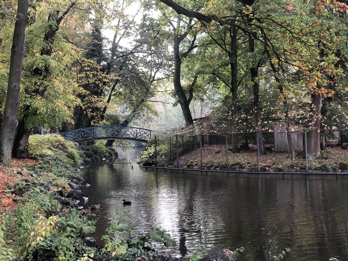 nobodyisperfekd's tweet image. So ein Foto bildet halt nie die wirkliche Schönheit ab.