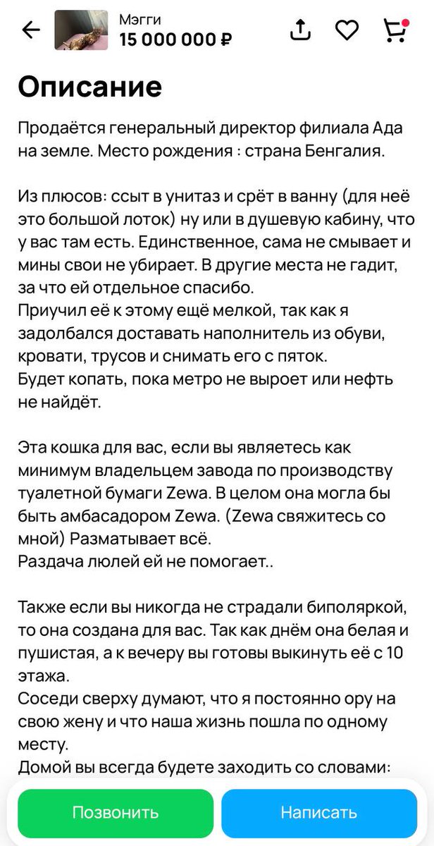 PantinDima's tweet photo. Сегодня вечером Рыжему покажу для профилактики 🐈 https://t.co/wNGkJt76iN