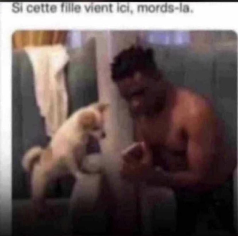 Mich_MBM's tweet photo. Un chien intelligent 🤣 https://t.co/Cx545HbJ4K