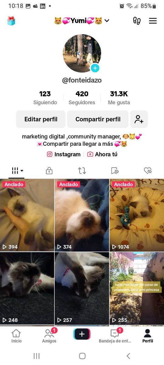 fonteidazo's tweet photo. Buenos días a todos 💞😻💞
Ya empecé el curso de auxiliar técnico de veterinario😻🐶 y no podemos subir todo el contenido que me gustaría😭, igualmente estoy muy contento con los resultados de estos 5 meses ✌️😎🇮🇨
#CommunityFirst #gatitos #TikTokviral #gatitosmimosos #veterinary https://t.co/nuKN6TxplV