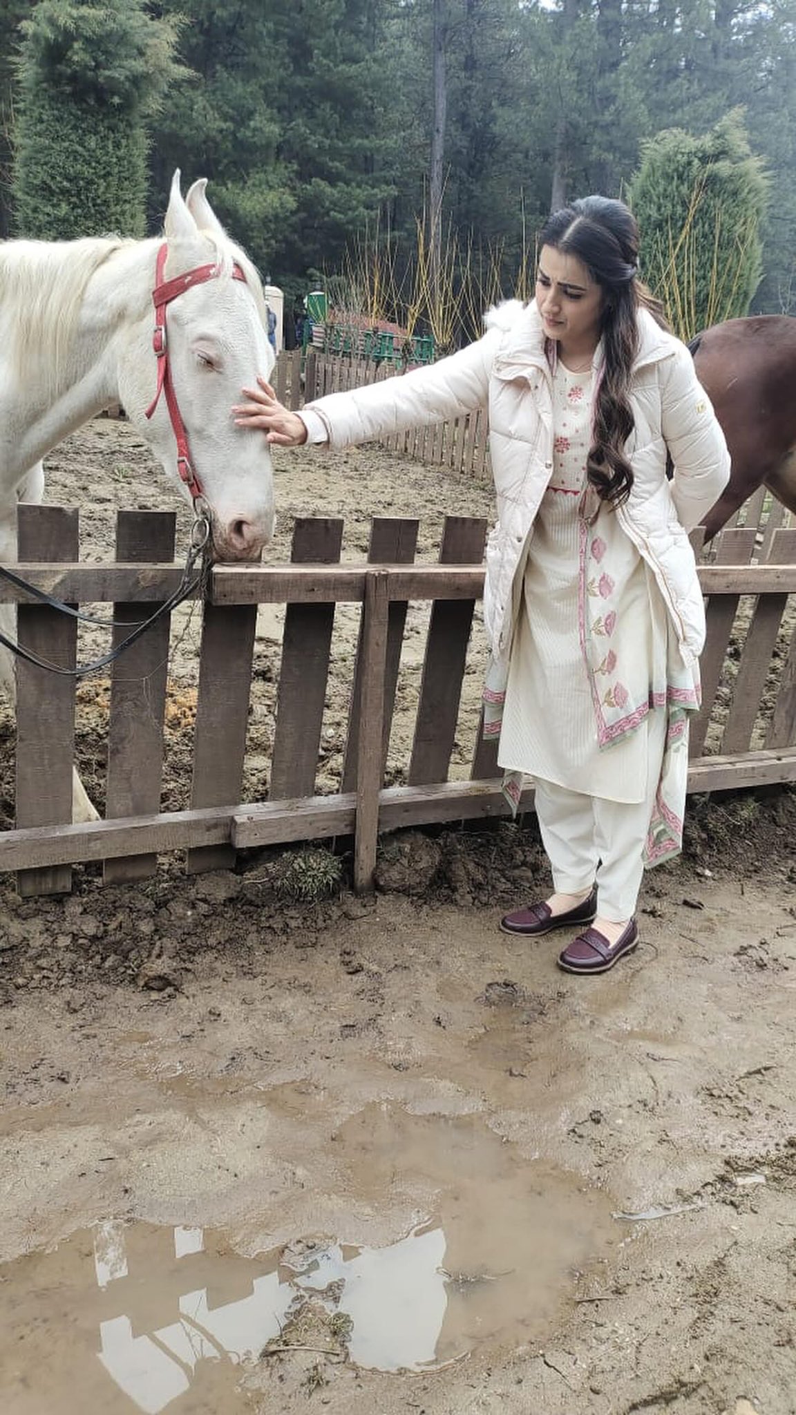 F84EGhVakAAazVS?format=jpg&name=large