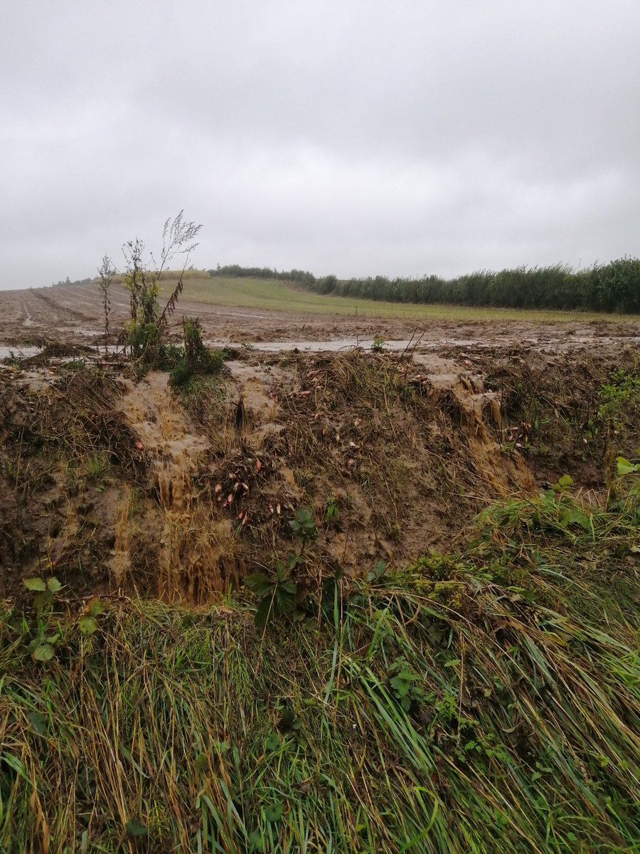 HarriermanPhil's tweet photo. More sediment pouring off the fields into the #River #Glaven to add to the previous dollop about 10 days ago 🥺 https://t.co/kZH9aXS2eX